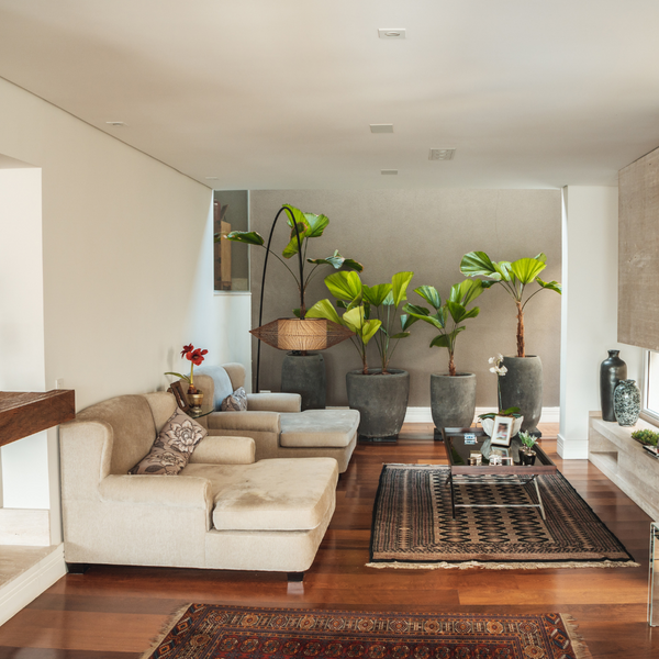 Residential Intensive Cleaning Service