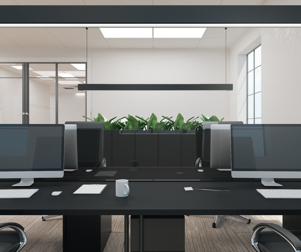 Office Intensive Cleaning Service