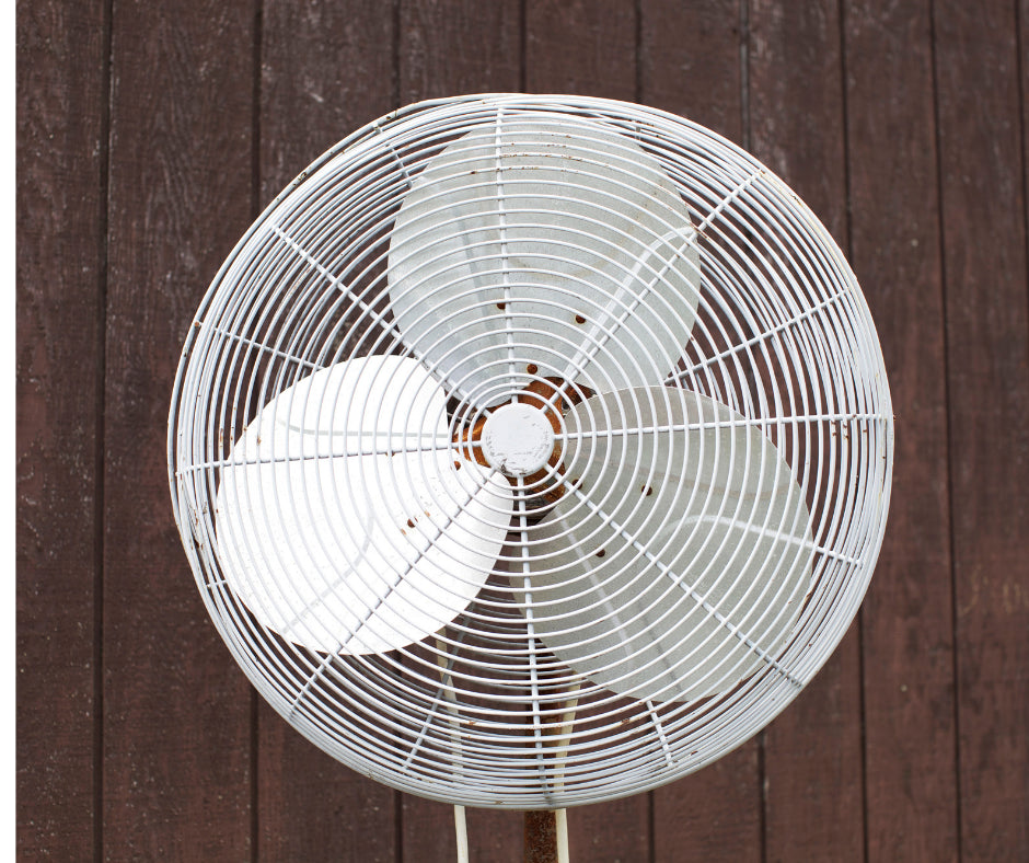 Wall/Stand/Table Fans Deep Cleaning