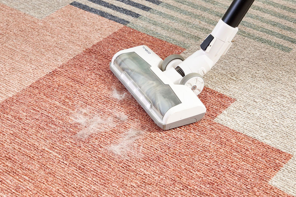 Carpet and Rug Cleaning