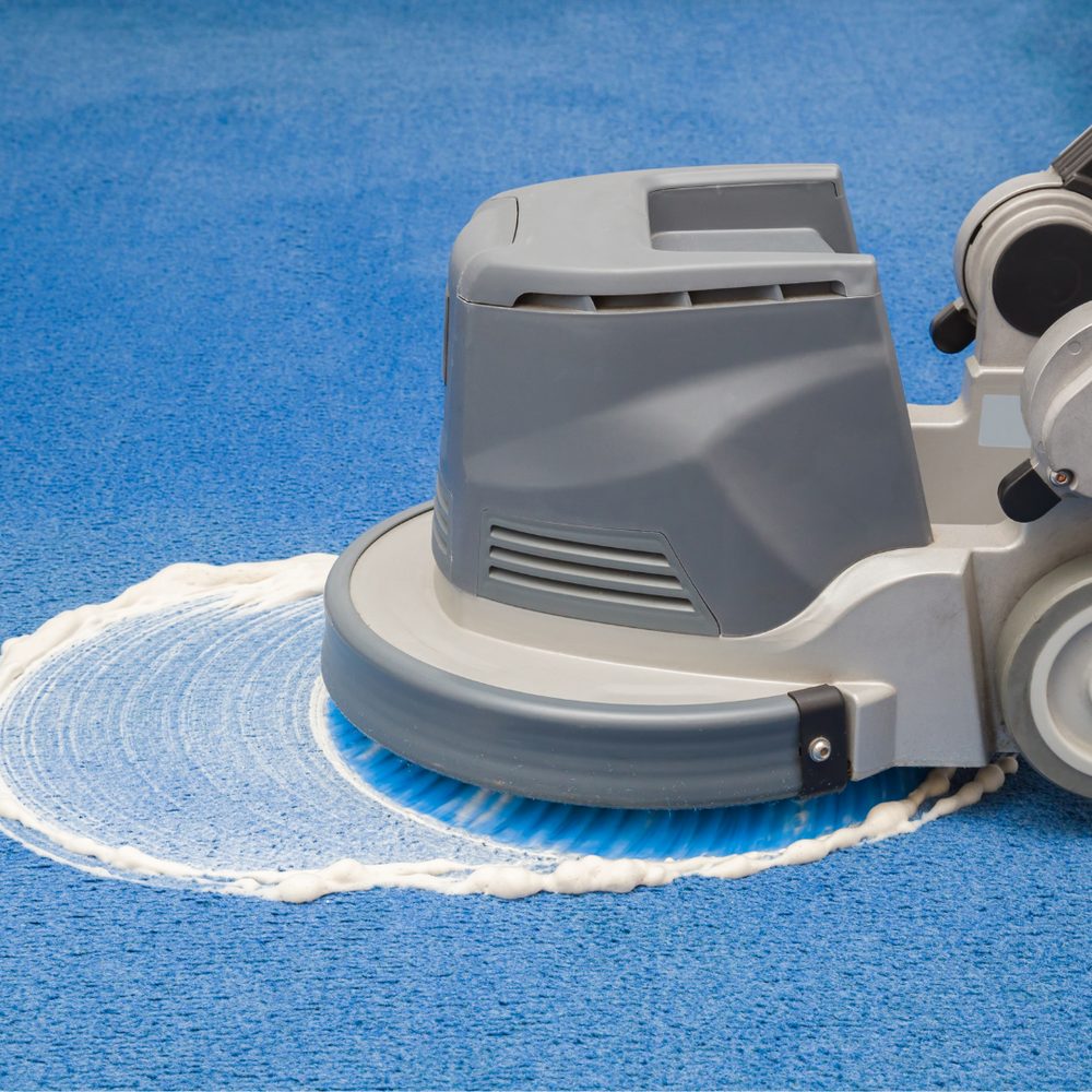 Carpet and Rug Cleaning