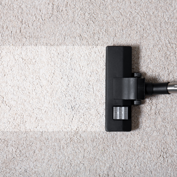 Carpet and Rug Cleaning